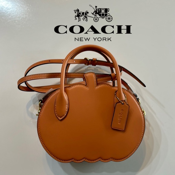 NWT Coach Fall Pumpkin Bag Orange Runway Leather Purse Zippered Case NYFW Handle - Picture 8 of 14